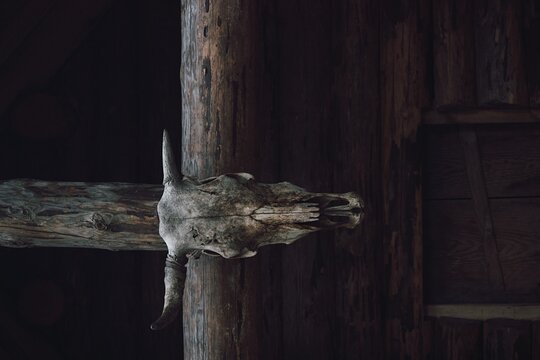 Tour image 1