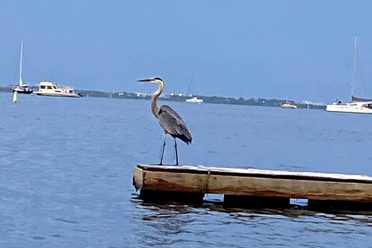 Tour image 13
